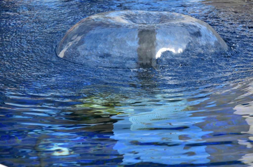 water