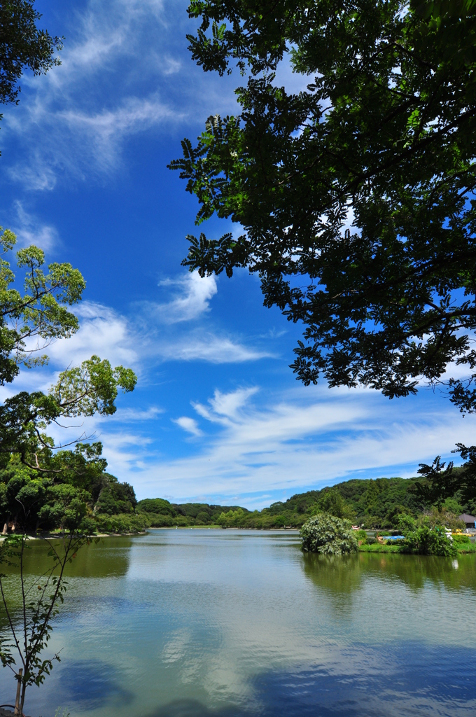 青空と池