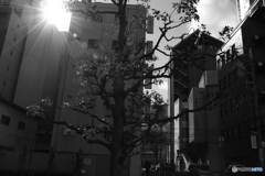 街中の風景