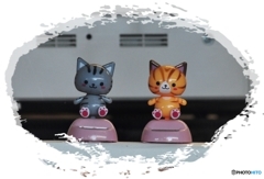 彦ねこ