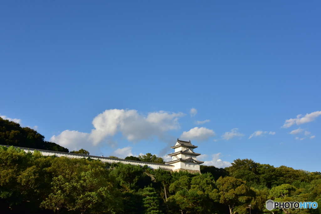 明石城でデート