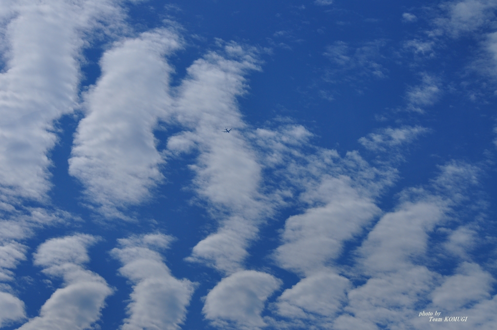 モアイ雲～(*^。^*)