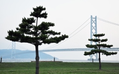 松・松・橋　そして島