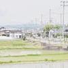 田んぼ道