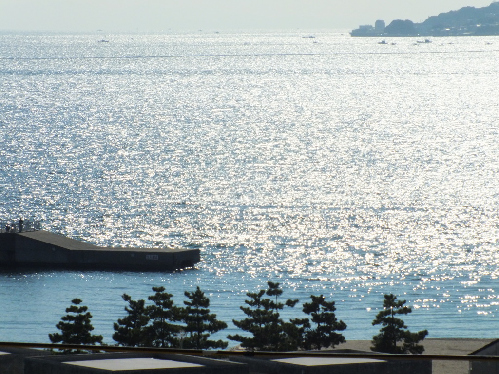 日曜日の午後って、何していますか？