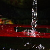 命の水