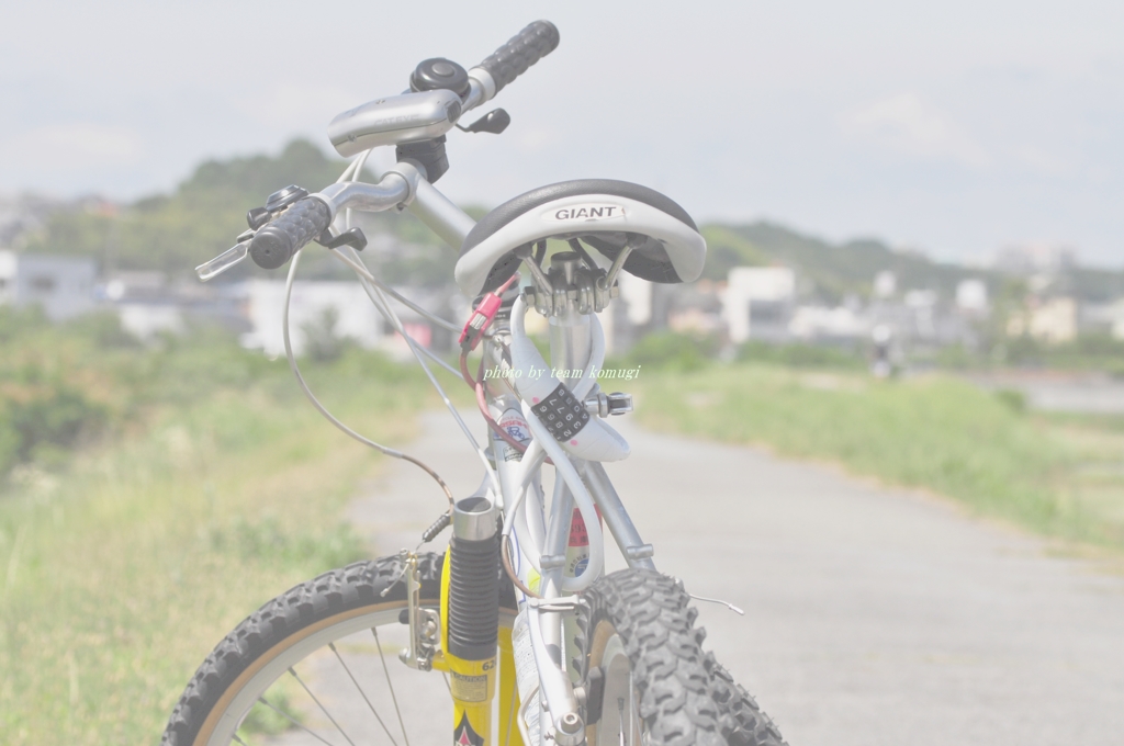 自転車のある風景