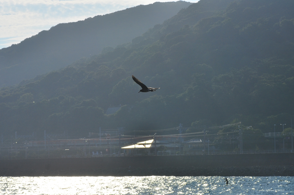 海に立つ