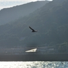 海に立つ