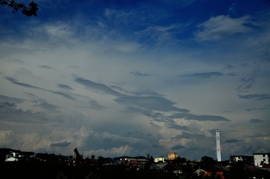 紺碧の夏の空