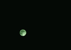 緑の月