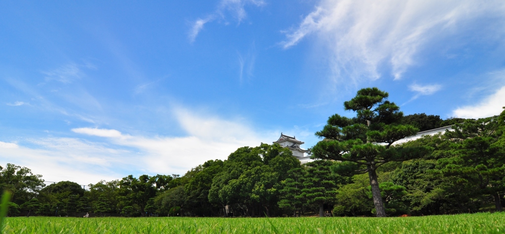 天下泰平の世