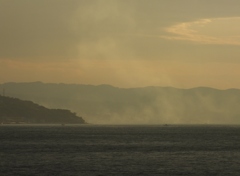 海霧