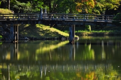 池に架かる橋