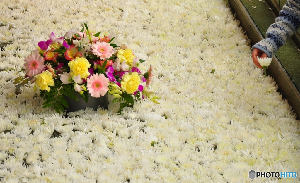 優しい手