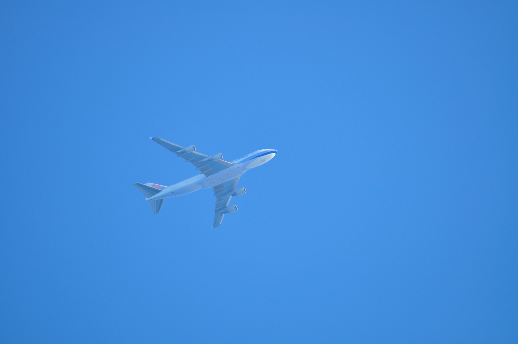 空を泳ぐ