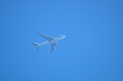 空を泳ぐ