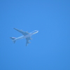 空を泳ぐ