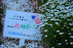 花時計