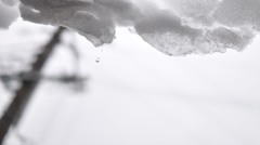 水滴に写り込む電柱
