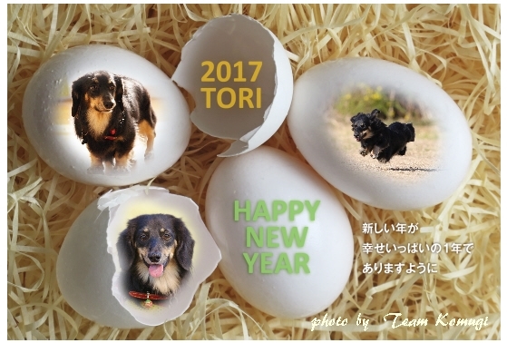 2017年　年賀状