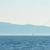 夏の海