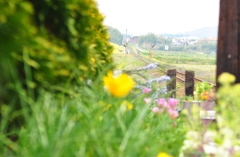 線路が見える