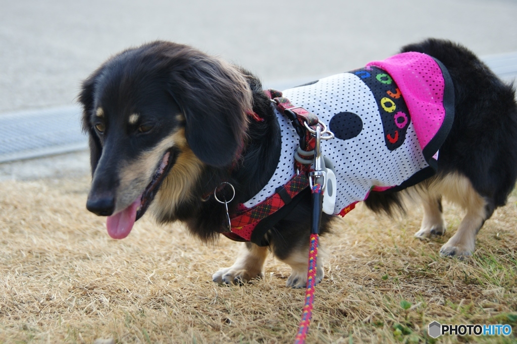 舞子公園散歩タイム