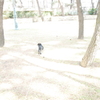 ～淡い思い出～