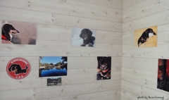 小さな個展