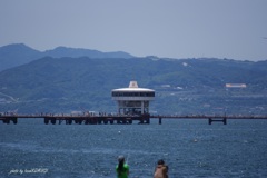 海上釣り堀