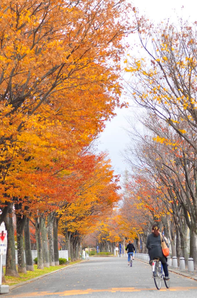 通学路