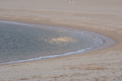 砂浜