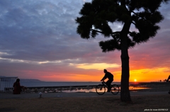 少女とわんこと自転車と夕陽