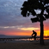 少女とわんこと自転車と夕陽
