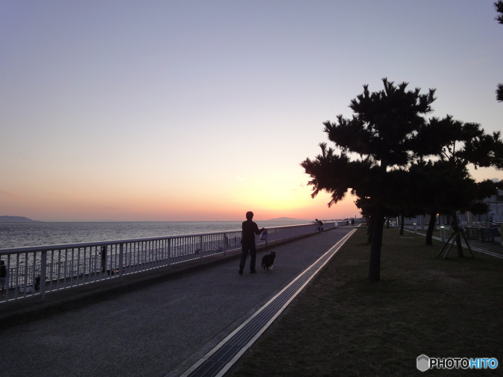 夕暮れ散歩