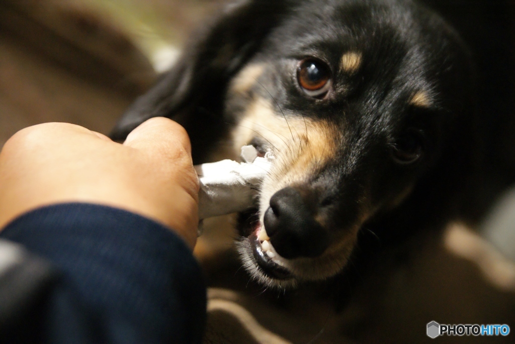 綱引き状態
