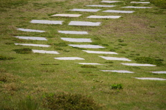 道