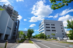 爽やかな青空