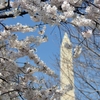 tn_DSC_7392