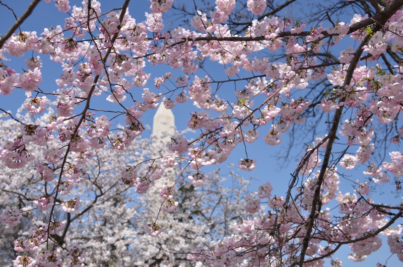 tn_DSC_7496