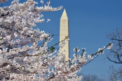 tn_DSC_7329