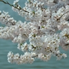 tn_DSC_7356