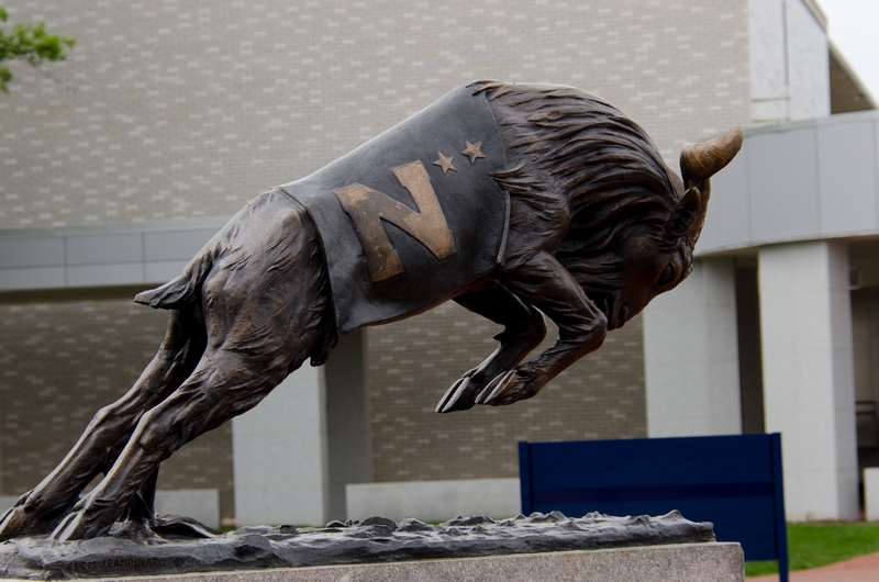 Navy's Goat