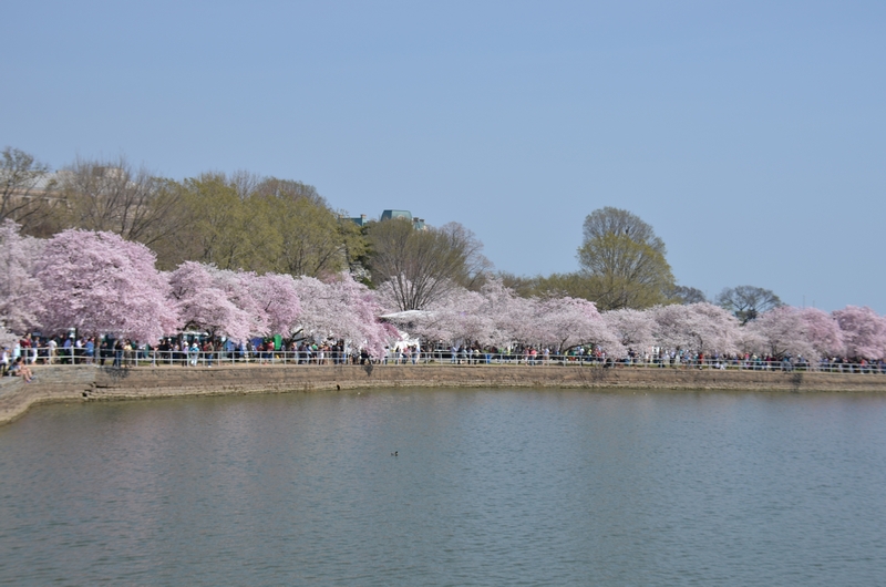 tn_DSC_7501