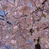 tn_DSC_7427
