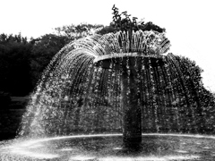 水紋