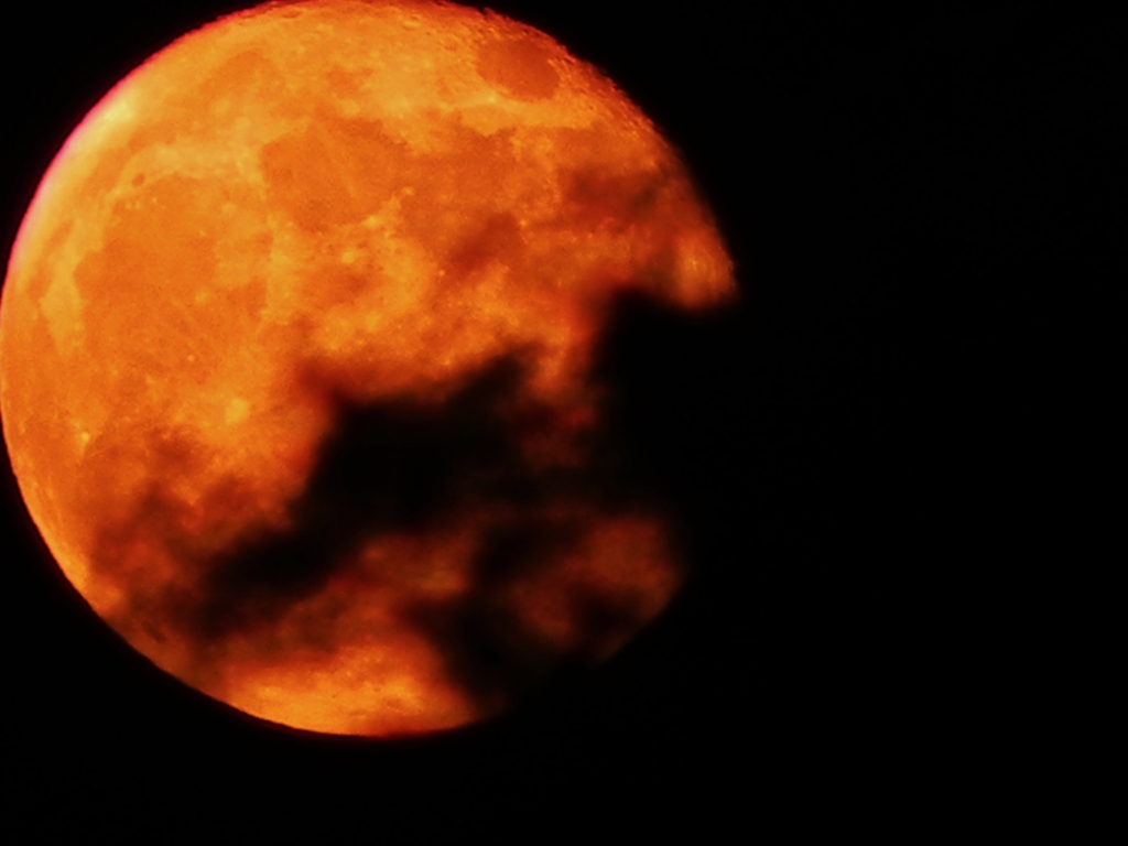 HALLOWEEN　MOON