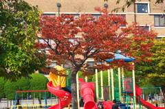 秋に染まる遊具