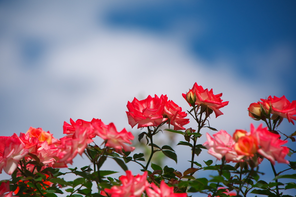 いつも感謝してます